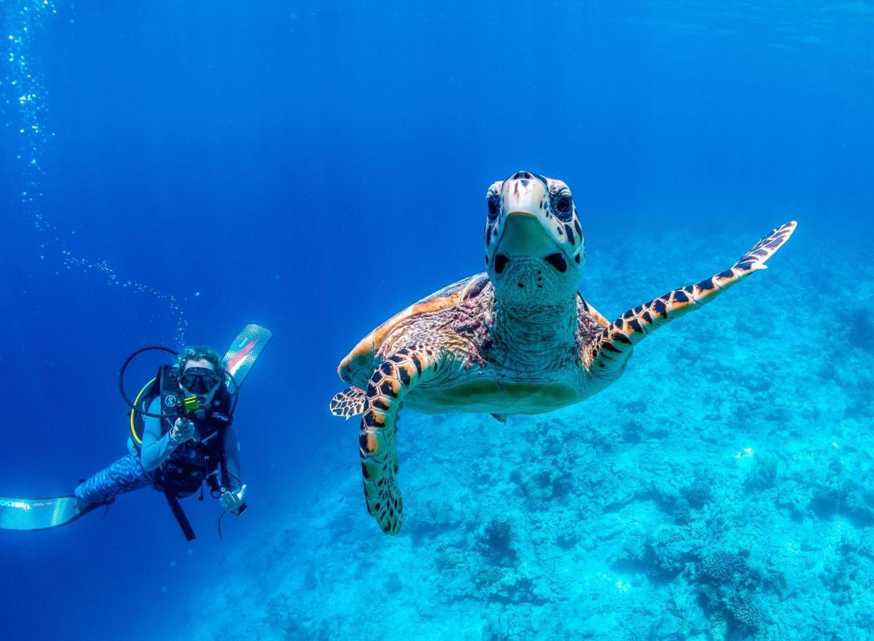 Bliss Dhigurah 호텔 디구라 외부 사진