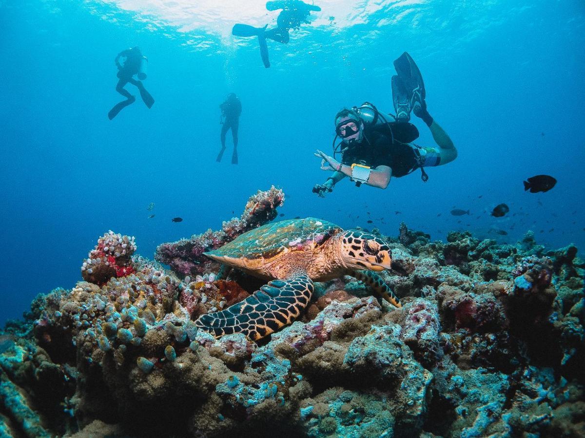 Bliss Dhigurah 호텔 디구라 외부 사진