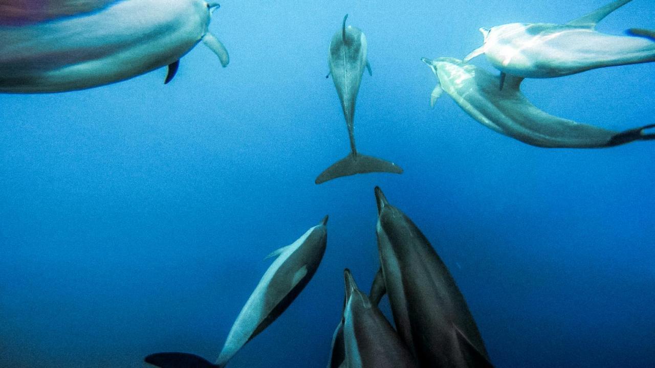 Bliss Dhigurah 호텔 디구라 외부 사진