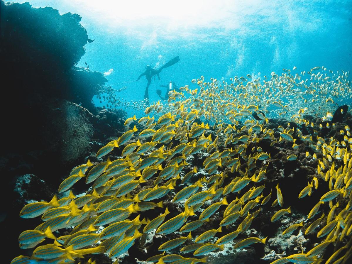 Bliss Dhigurah 호텔 디구라 외부 사진